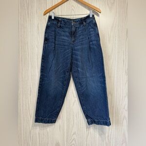 Banana Republic Mid-Rise Straight Leg Jeans Petite Size 27/4 EUC